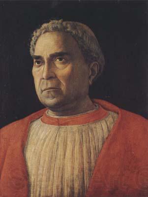 Andrea Mantegna Portrait of Cardinal Lodovico Trevisano (mk08) Norge oil painting art